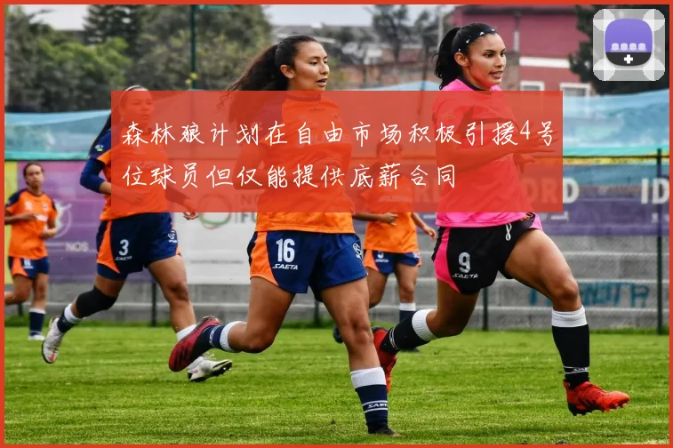 森林狼计划在自由市场积极引援4号位球员但仅能提供底薪合同