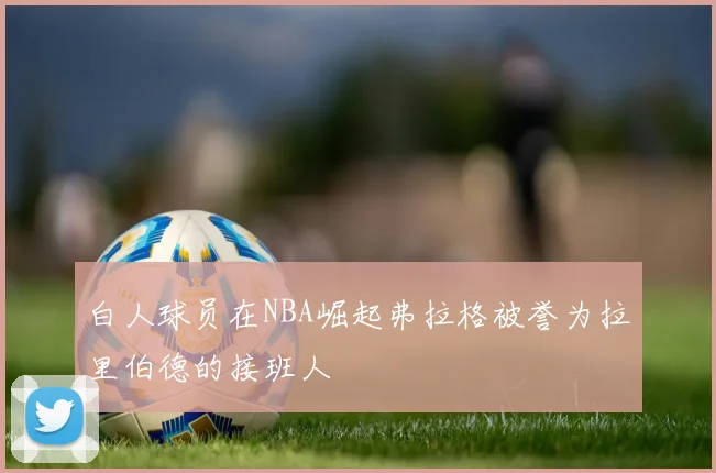 白人球员在NBA崛起弗拉格被誉为拉里伯德的接班人
